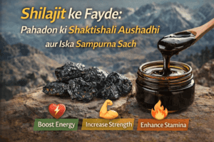 Shilajit ke Fayde: Power aur Immunity badhane ka sabse asardaar tarika