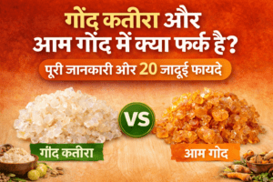 गोंद कतीरा और आम गोंद का अंतर दिखाती हुई इमेज, जिसमें दोनों प्राकृतिक गोंद को साथ में तुलना के रूप में दिखाया गया है।